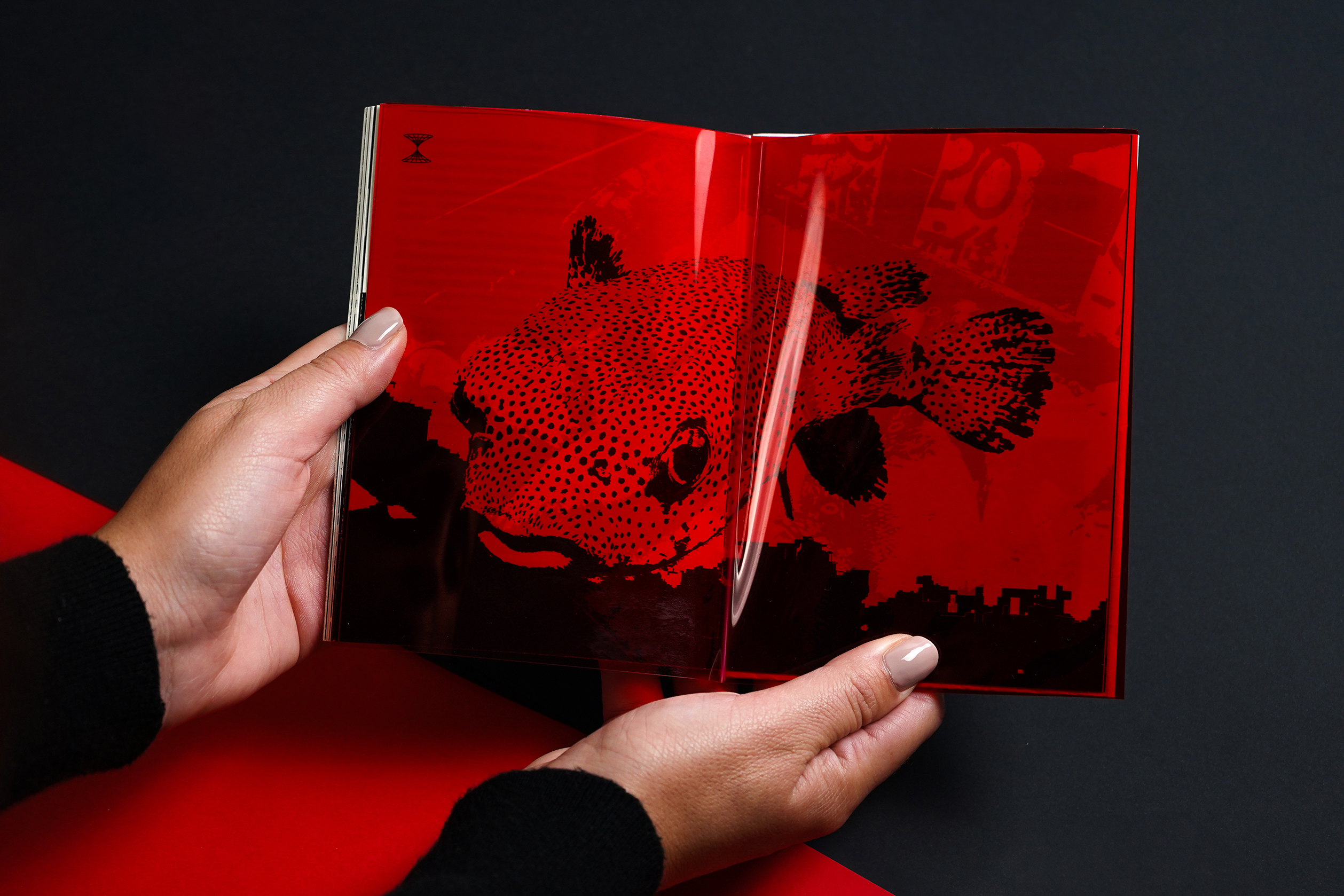 Damasu — augmented reality interaction